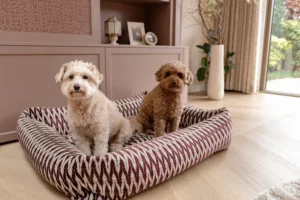 Lex & Max hondenmand of kattenmand