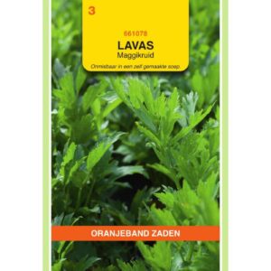 OBZ Lavas (maggiplant)
