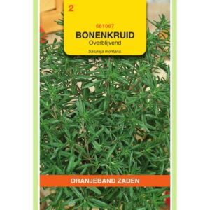 OBZ Bonenkruid Overblijvend