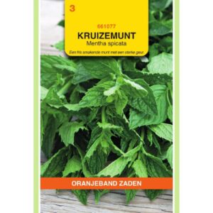 OBZ Kruizenmunt