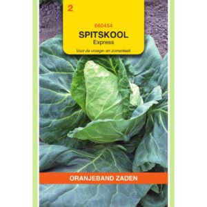 OBZ Spitskool Express