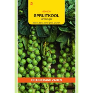 OBZ Spruitkool Groninger