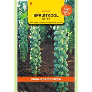 OBZ Spruitkool Igor F1