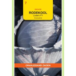 OBZ Rode Kool Lodero F1, Knolvoetvrij