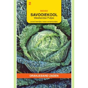 OBZ Savooiekool Donkergroene Putjes