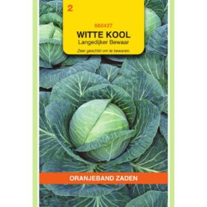OBZ Witte Kool Langedijker Bewaar