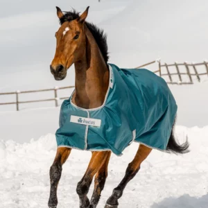 Bucas Atlantic Turnout Green/Silver