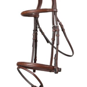 TRUST Calcary Combined Noseband Hoofdstel bruin/zilver