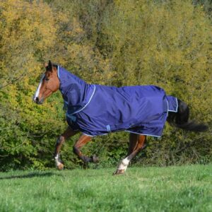 Atlantic Exclusive Turnout Light + Neck